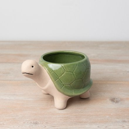 Tortoise planter