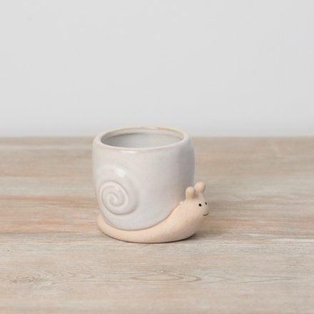 Small Snail Plant Pot