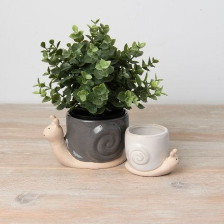 Grey Snail Plant Pot