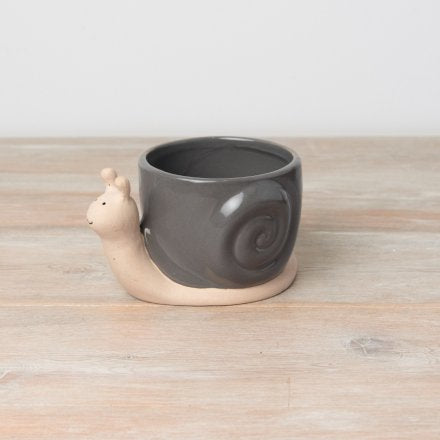 Grey Snail Plant Pot