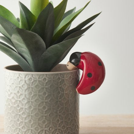 Ladybird Pot Hanger