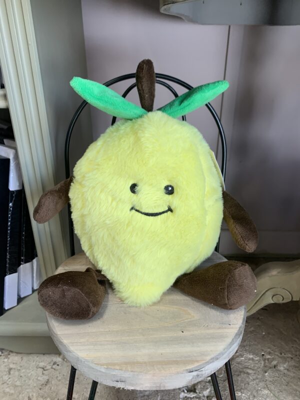 Lemon Doorstop - Image 3